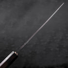 Deba Blue Steel #2 Kurouchi Manche en Buffle et Ébène 270mm - Fin-[Musashi]-[Couteaux de cuisine japonais]