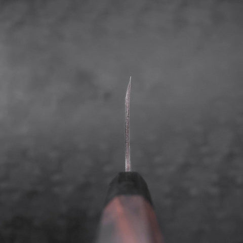 Deba Blue Steel #2 Kurouchi Buffalo Ebony Handle 270mm - Thin-[Musashi]-[Japanese-Kitchen-Knives]