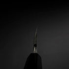 Deba Silver Steel #3 Kasumi Manche en Buffle et Ébène 165mm-[Musashi]-[Couteaux de cuisine japonais]