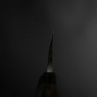 Deba Silver Steel #3 Kasumi Manche en Buffle et Ébène 210mm-[Musashi]-[Couteaux de cuisine japonais]