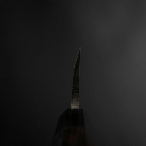 Deba Silver Steel #3 Kasumi Manche en Buffle et Ébène 210mm-[Musashi]-[Couteaux de cuisine japonais]