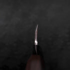 Deba White Steel #2 Kasumi Chokin Sakura-Fuji Or Manche en Buffle et Ébène 165mm-[Musashi]-[Couteaux de cuisine japonais]
