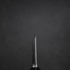 Deba White steel #2 Kasumi Manche en Buffle et Bois de Teck 210mm-[Musashi]-[Couteaux de cuisine japonais]