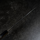 Funayuki Blue steel #2 Kurouchi Manche en Buffle et Magnolia 210mm-[Musashi]-[Couteaux de cuisine japonais]