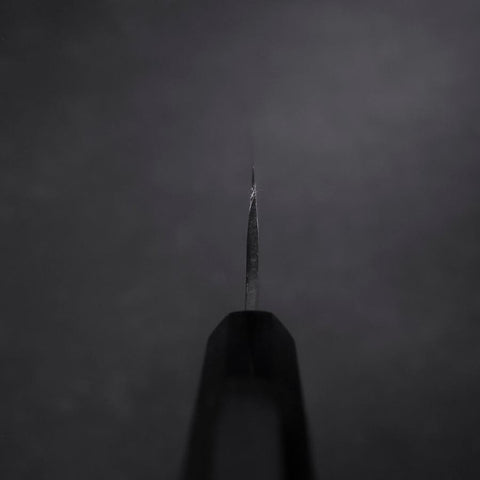 Gyuto Blue Steel #2 Chokin Kurouchi Dragon Manche en Buffle et Ébène 240mm-[Musashi]-[Couteaux de cuisine japonais]