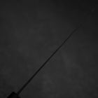 Gyuto Blue Steel #2 Kurouchi Chokin Hannya Manche en Buffle et Ébène 210mm-[Musashi]-[Couteaux de cuisine japonais]