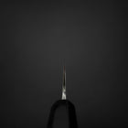 Gyuto Blue Steel #2 Kurouchi Revêtement Inox Chokin Sakura-Fuji Manche en Buffle et Ébène 210mm-[Musashi]-[Couteaux de cuisine japonais]
