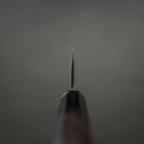 Gyuto Blue steel #2 Kurouchi Sakura Fuji Buffalo Ebony Handle 210mm-[Musashi]-[Couteaux de cuisine japonais]