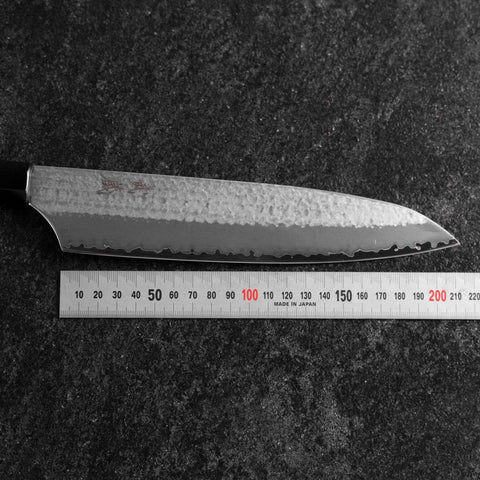 Gyuto VG-5 Tsuchime Manche en Buffle et Bubinga 210mm-[Musashi]-[Couteaux de cuisine japonais]