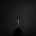 Kiritsuke Deba Silver Steel #3 Miroir Manche en Buffle et Ébène 180mm-[Musashi]-[Couteaux de cuisine japonais]