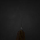 Kiritsuke Gyuto Blue Steel #2 Poli Manche en Olivier 210mm-[Musashi]-[Couteaux de cuisine japonais]