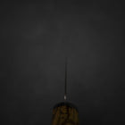 Kiritsuke Gyuto SG-2 Damas Manche en Ébène Or Occidental 210mm-[Musashi]-[Couteaux de cuisine japonais]