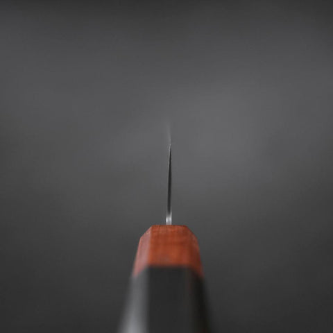 Kiritsuke Gyuto VG-10 Damascus Shitan Ebony Handle 210mm-[Musashi]-[Couteaux de cuisine japonais]