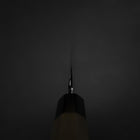 Kiritsuke Yanagiba Silver Steel #3 Kasumi Manche en Buffle et Magnolia 270mm-[Musashi]-[Couteaux de cuisine japonais]