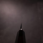 Sakimaru Takohiki White Steel #2 Honyaki Lune-Fuji Eau 270 mm Manche en Buffle et Ébène avec Saya en Magnolia-[Musashi]-[Couteaux de cuisine japonais]