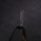 Sujihiki Blue Steel #2 Damas Manche en Buffle et Ébène 270mm-[Musashi]-[Couteaux de cuisine japonais]