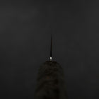 Sujihiki VG-10 Damas Manche en Bois de Bouleau Gris 240mm-[Musashi]-[Couteaux de cuisine japonais]