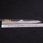 Yanagiba Blue Steel #2 Kurouchi Chokin Sakura-Fuji Manche en Buffle et Ébène 300mm-[Musashi]-[Couteaux de cuisine japonais]
