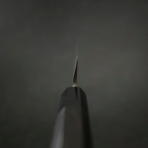 Yanagiba Blue Steel #2 Suminagashi Buffalo Ebony Handle 270mm-[Musashi]-[Japanese-Kitchen-Knives]