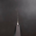 Yanagiba White Steel #2 Kasumi Buffalo Ebony Handle 270mm-[Musashi]-[Japanese-Kitchen-Knives]